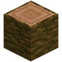 Jungle Log