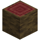 Mangrove Log