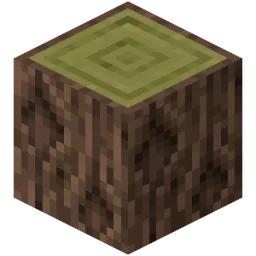 Pine Log